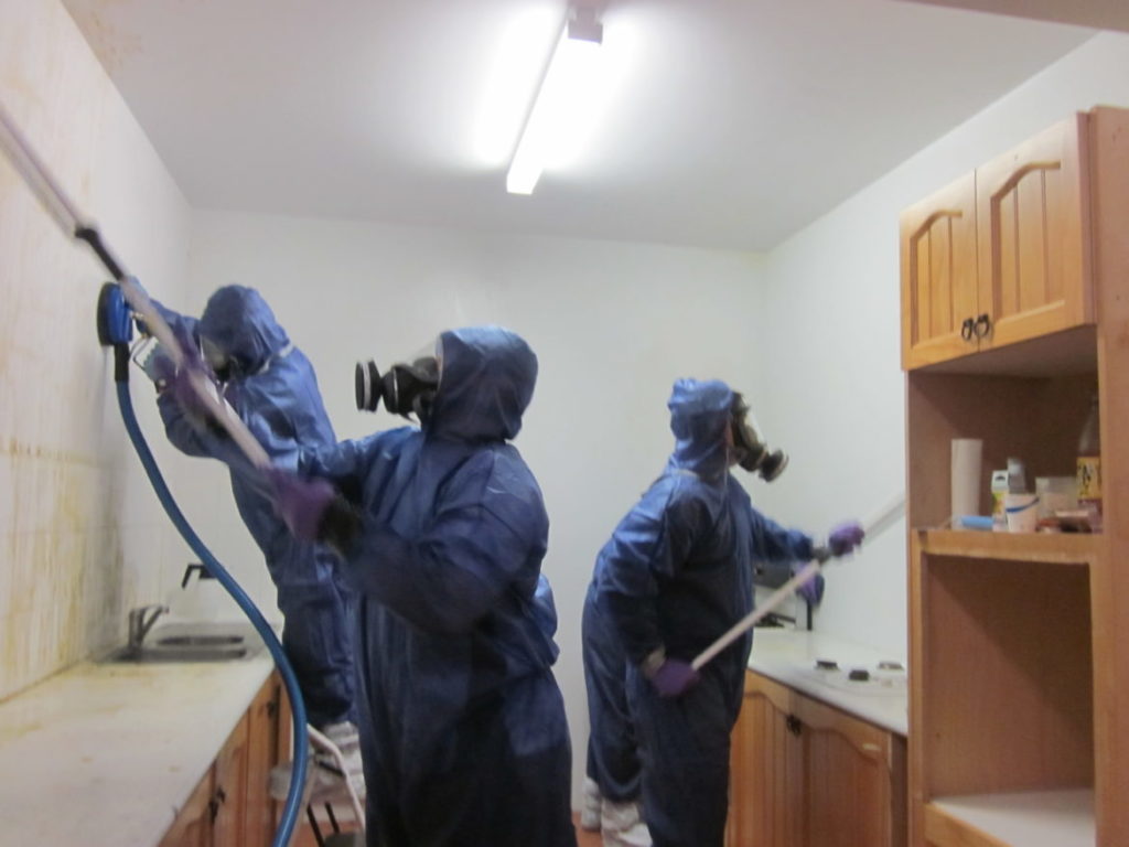Mold remediation by jt water damge